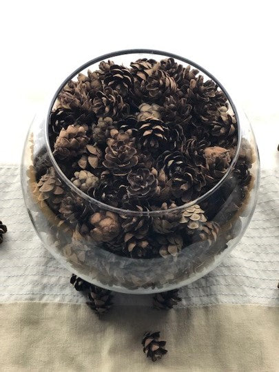 What to do with miniature pine cones?